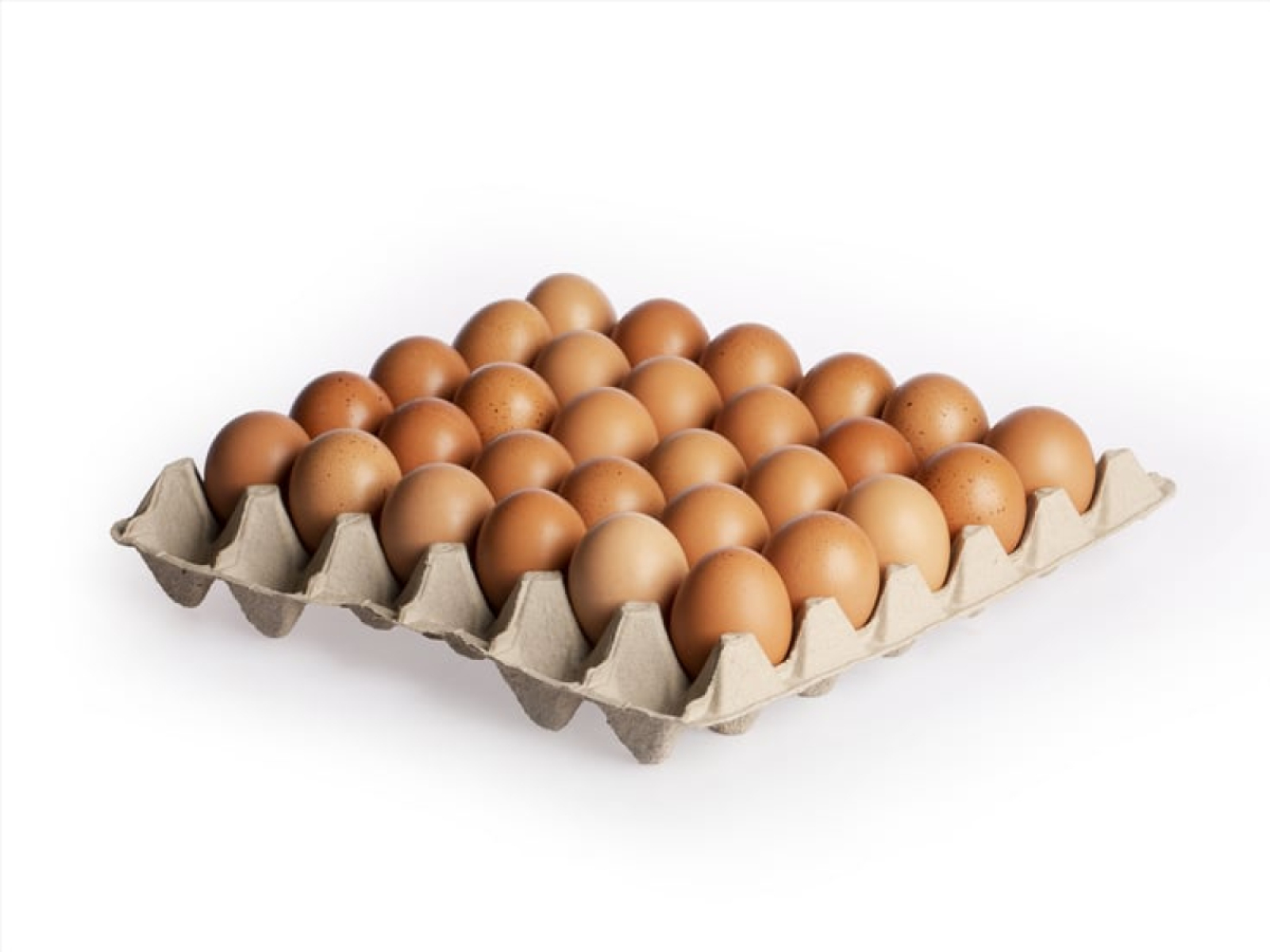 Eier Steveshof