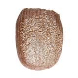 Dinkelbrot